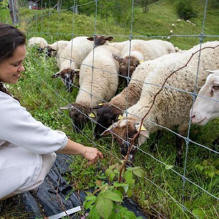 La Vieille Ferme, Ecogite Saint-Fulgence Exterior photo