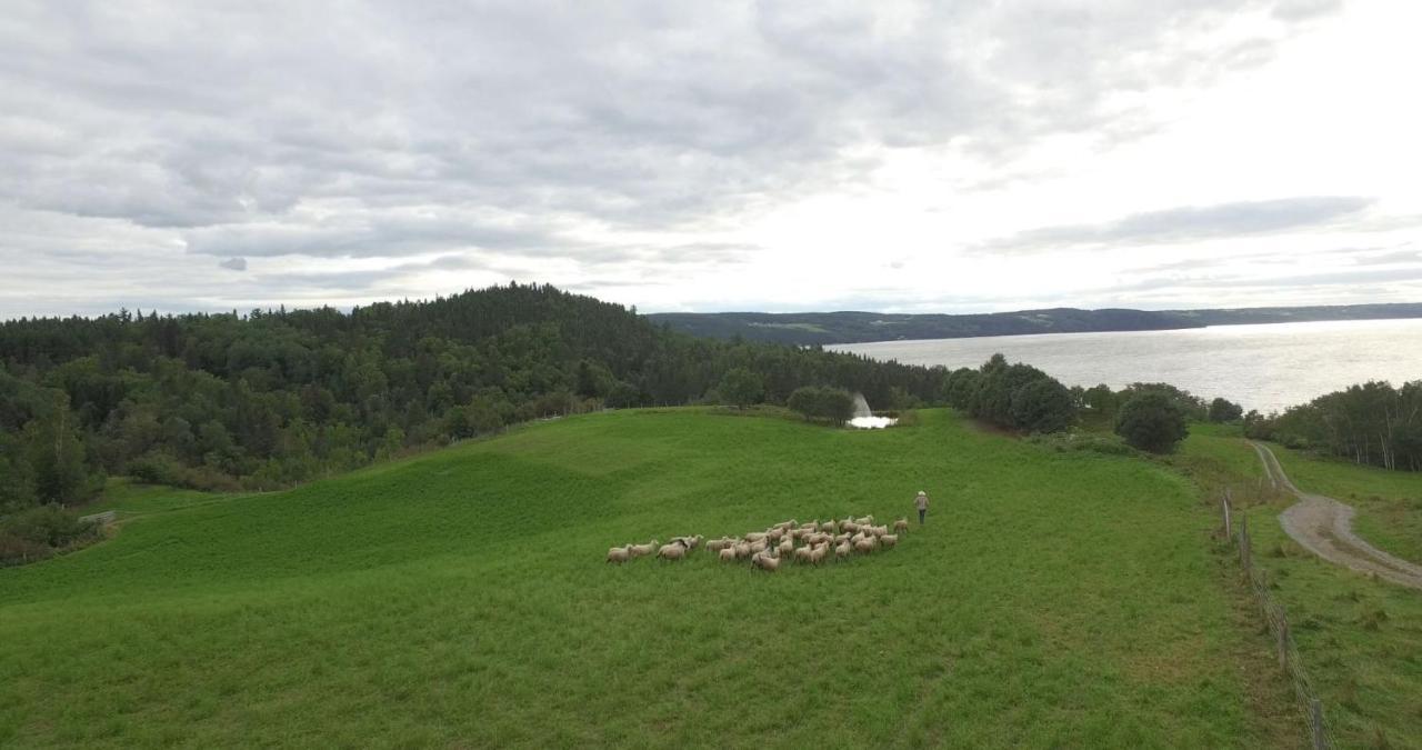 La Vieille Ferme, Ecogite Saint-Fulgence Exterior photo